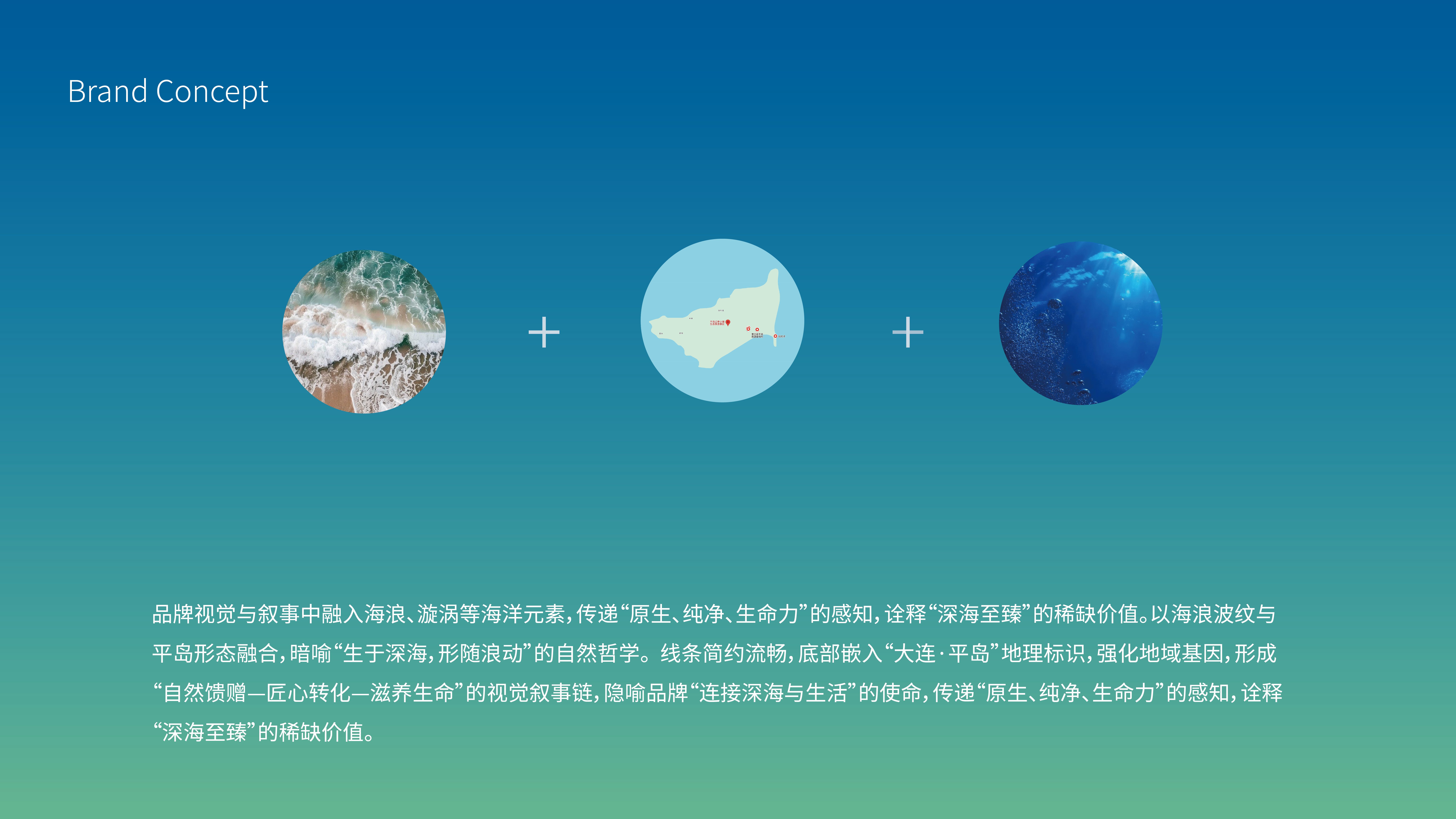 平岛提案.png